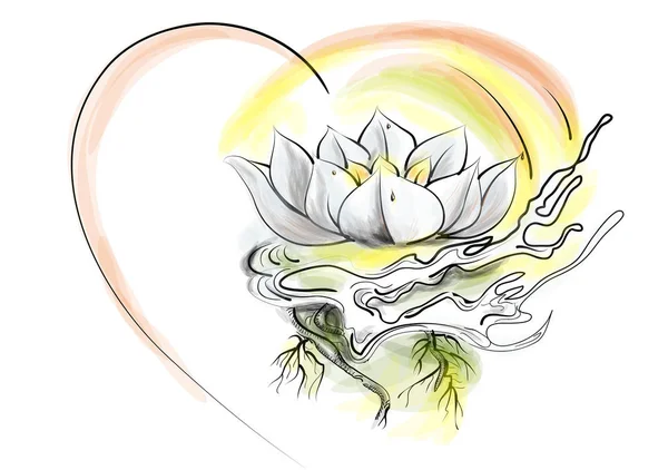 Lotus Coeur Isolés Sur Fond Blanc — Image vectorielle