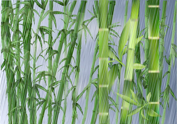 Bamboo Rain Abstract Nature Summer Background — Stock Vector