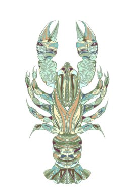 Beyaz arka planda etnik ıstakoz tecrit