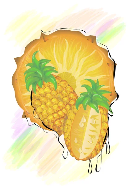 Piña Rodajas Sobre Fondo Multicolor — Vector de stock