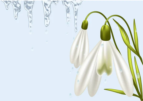 Abstract Spring Background Snowdrop Ice — Stock Vector