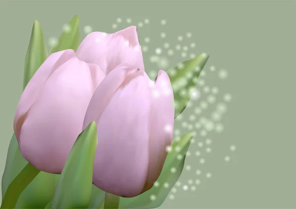 Tulipani Pinnk Con Foglie Sfondo Verde — Vettoriale Stock