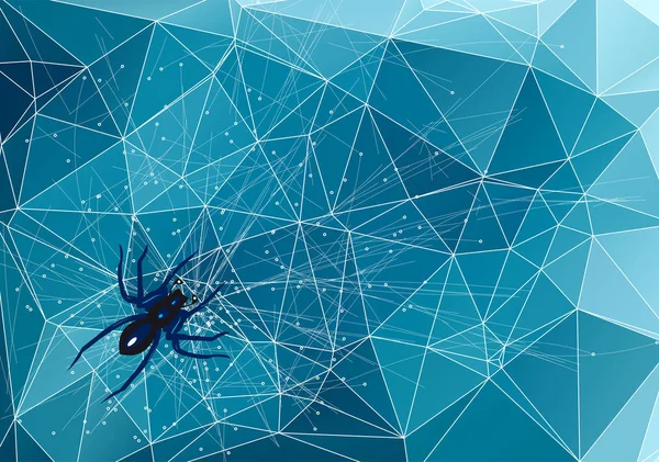 Spider på abstrakt webb — Stock vektor