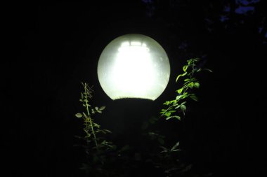 çalılar içinde fener