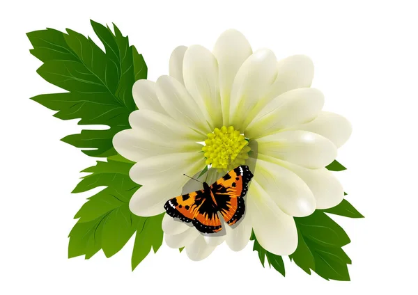 Fiore e farfalla — Vettoriale Stock