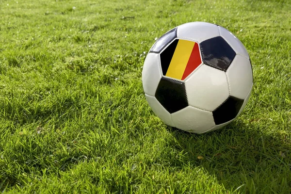 Voetbal Een Worp Van Gras Met België Fla — Stockfoto