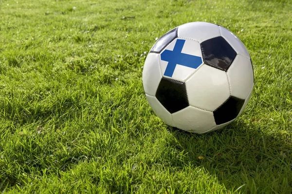 与芬兰弗拉一起在草地上的足球 — 图库照片