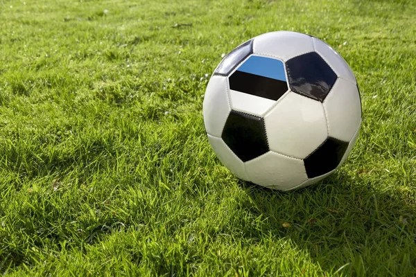 在草地上的足球与爱沙尼亚国旗 — 图库照片