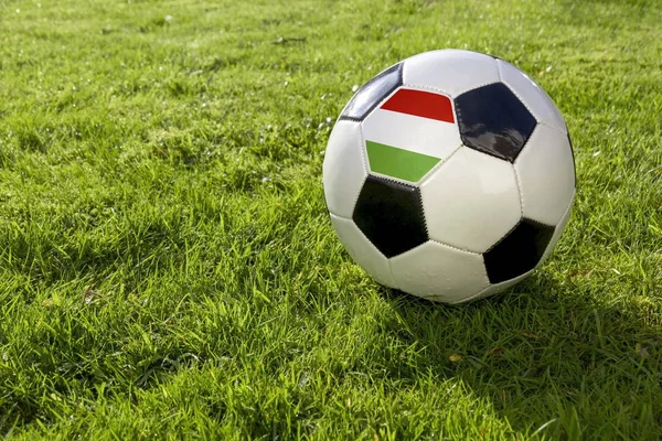 Calcio Campo Erba Con Ungheria Fla — Foto Stock