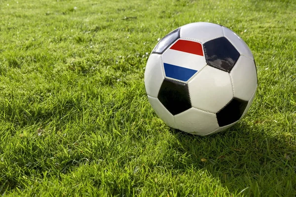 Fußball Auf Einem Rasenplatz Mit Niederländischer Flagge — Stockfoto