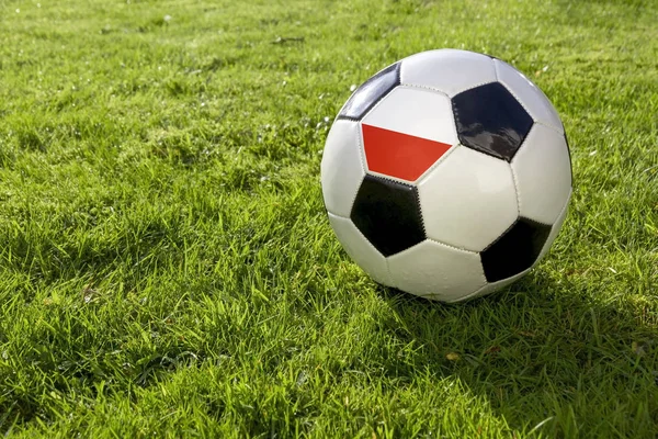 Futebol Campo Grama Com Polônia Fla — Fotografia de Stock