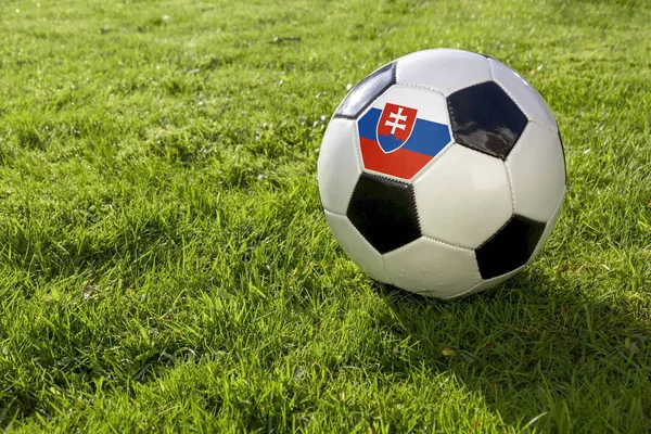 Футбол Травою Поле Прапор Словаччини — стокове фото
