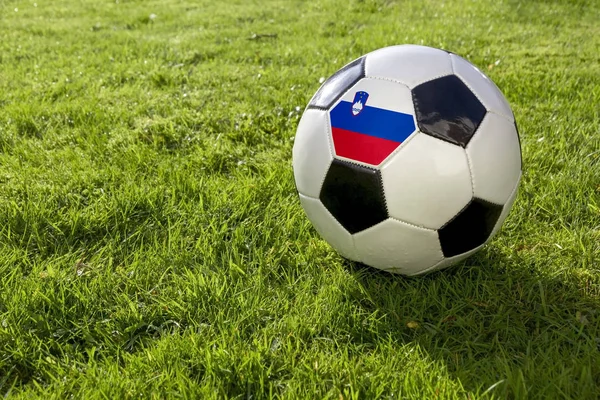 Futebol Campo Grama Com Eslovénia Bandeira — Fotografia de Stock