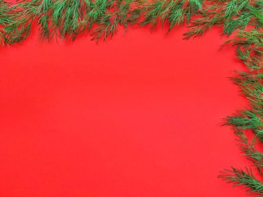 Noel arkaplanı. Kırmızı arka planda Dill yaprakları. Mutlu yıllar.. 