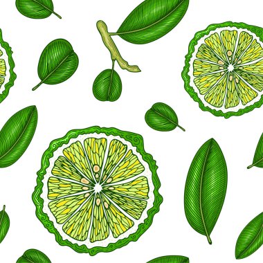 Bergamot ile Seamless modeli. Renkli duvar kağıdı vektör. Oyma kroki vintage tarzı. Elle çizilmiş şekil. Büyük tasarım menü, yemek tarifleri, poster, etiket, baskı, ambalaj tasarımı.