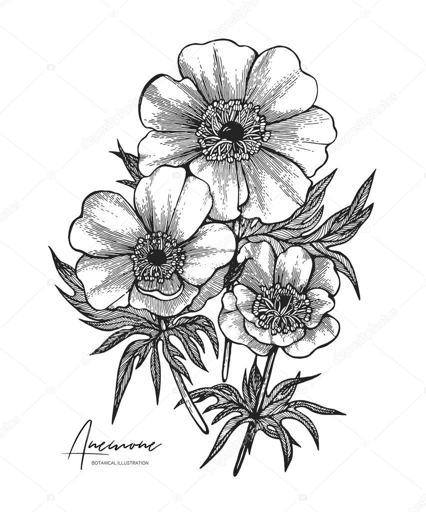 Black and white vector sketch illustration of tulip. All element isolated. Design elements for wedding invitations, greeting cards, wrapping paper, cosmetics packaging, labels, tags, quotes, posters