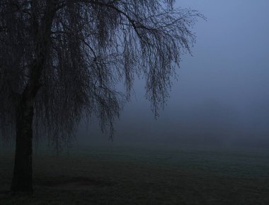 Güneşli bir yaz günü Alp gölünde, ağaçlar, çimenler ve çalılar dağların yamaçlarında yetişir, gökyüzü sudaki dağlar ve ağaçları yansıtır, bulutsuz berrak mavi gökyüzü, uzak yamaçlarda evler vardır.