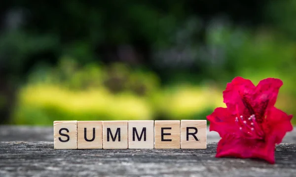 Καλοκαίρι Λέξη Που Αποτελείται Από Ελαφριά Ξύλινες Σανίδες Και Κόκκινο — Φωτογραφία Αρχείου
