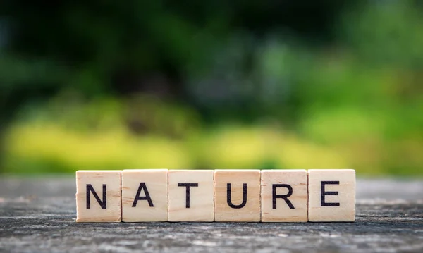 Parola Natura Fatta Tavole Legno Chiaro Sullo Sfondo Della Natura — Foto Stock