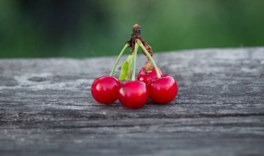 Doğa arka plan üzerine açık havada 4 kiraz