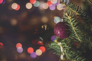 Renkli ışıklar bir köknar dalı arka planda mor parlak Noel topa