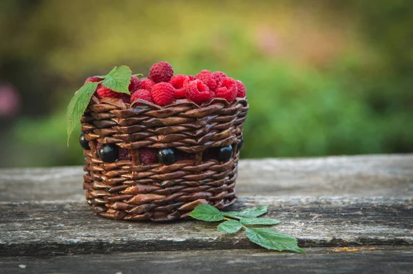 Rijpe frambozen in een mandje op de achtergrond van de natuur — Stockfoto