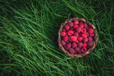 Olgun ahududu yeşil çim açık havada bir sepet içinde