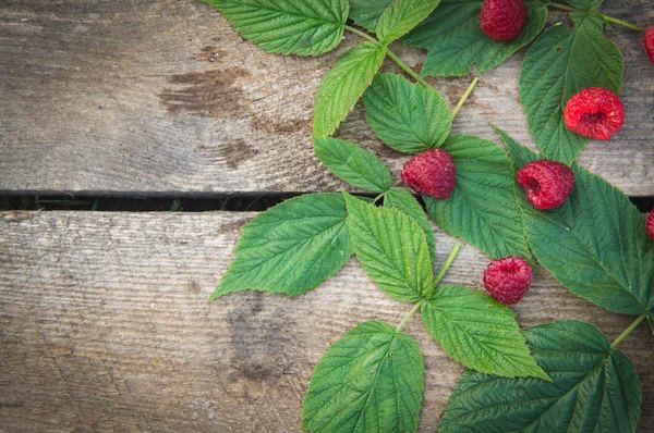 ahşap backg üzerinde bir saçılma Ahududu ve Ahududu yaprakları