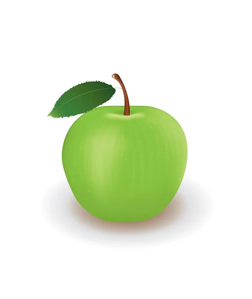 Green Apple Vector Illustration — Stock Vector