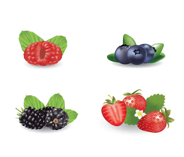 Berries Set Vector Illustration — Stock Vector
