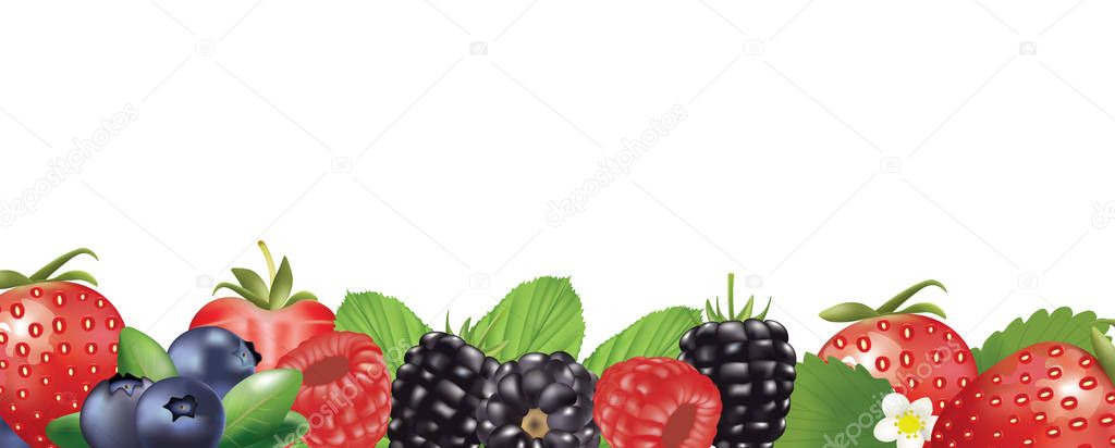 Forest fruits banner. vector illustration