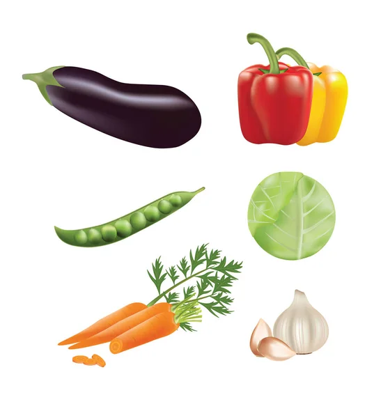 Különböző Zöldségek Elkülönítve Vektor Illusztráció — Stock Vector