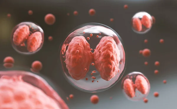 Beyaz kan 3d render İnsan hücresi veya Embriyonik kök hücre mikroskop arka plan.