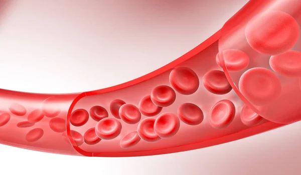 Rode bloedcellen stromen door aders, menselijk lichaam systeem, 3D-rendering. — Stockfoto