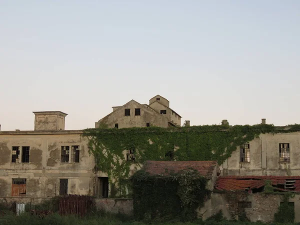 Fábrica Abandonada Uma Antiga Fábrica Abandono Total Deixada Com Natureza — Fotografia de Stock