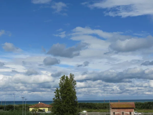 Natürliche Landschaft Ein Natürlicher Blick Unter Den Bäumen Eines Kleinen — Stockfoto