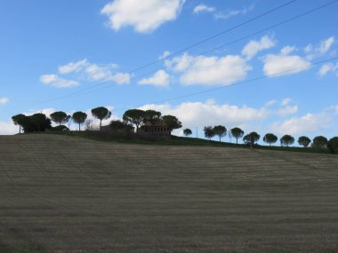  Doğal Peyzaj, dağ yolları ve vahşi doğa arasında küçük bir ormanın ağaçları arasında doğal bir görünüm 