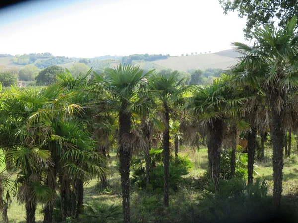 Natural Landscape, a natural view among the trees of a small forest between mountain paths and wild nature