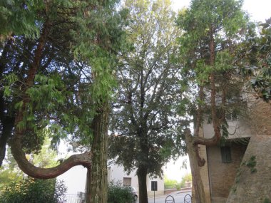 Tarihsel detaylar, en eski ülkelerde detaylar ve tarihi manzaralarla dolu bu harika mimariler vardır. 