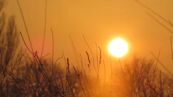 Колір Заходу Сонця Кольори Заходу Сонця Літньому Світлі Набагато Інтенсивніші — стокове фото