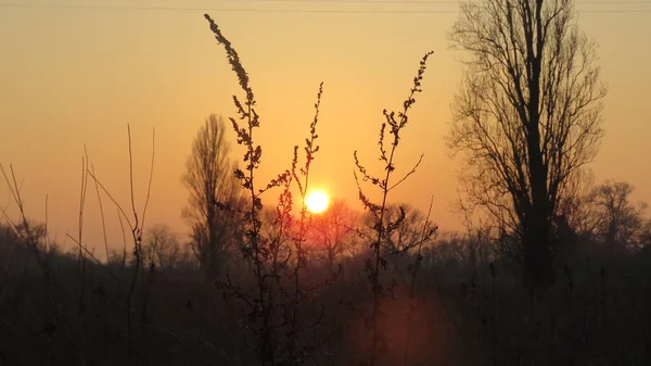 Sunset Barva Barvy Západu Slunce Letním Světle Mnohem Intenzivnější Zejména — Stock fotografie