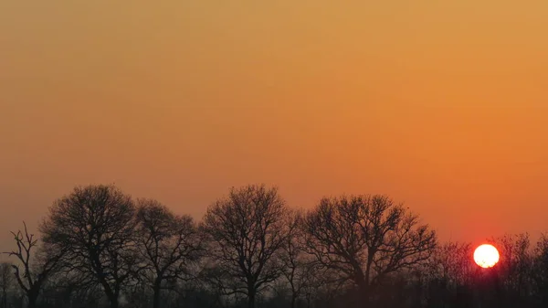 Západ Slunce Vyfocený Přírodou Zimě Větve Tohoto Stromu Před Sluncem — Stock fotografie