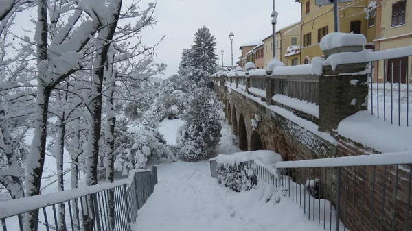 Nieve Pesada Cuando Invierno Todo Convierte Solo Color Paisaje Cambia — Foto de Stock