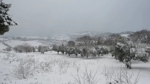 Nevada Invierno Cuando Cae Nieve Todo Cambia Color Volviéndose Blanco — Foto de Stock