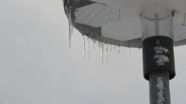 Kar yağışı, kışın kar yağdığında her şey değişir. Renkler değişir, bembeyaz olur.