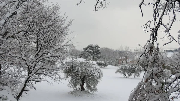 雪が降ると 冬になると いつもの風景を変える純白のものがすべて変わります — ストック写真