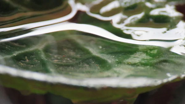 Gotas Agua Macrofoto Una Pequeña Gota Agua Con Toda Naturalidad —  Fotos de Stock