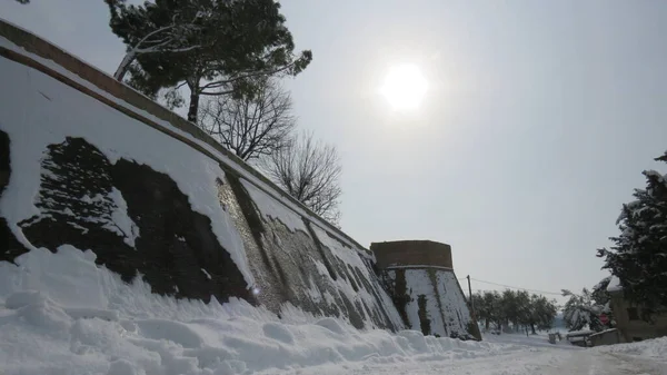 Kar yağışı, kışın kar yağdığında, dinlendiği her şey tek bir renk olur ve manzarayı değiştirir.