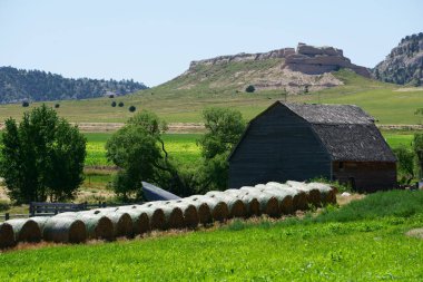 Uzak kırsal Nebraska'da ranching