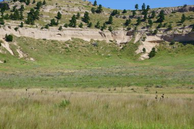 Büyük Horn koyun gibi yüksek kayalık alanları koruma için